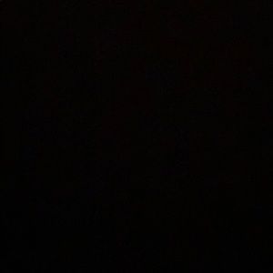 Meet your Posher, Cody